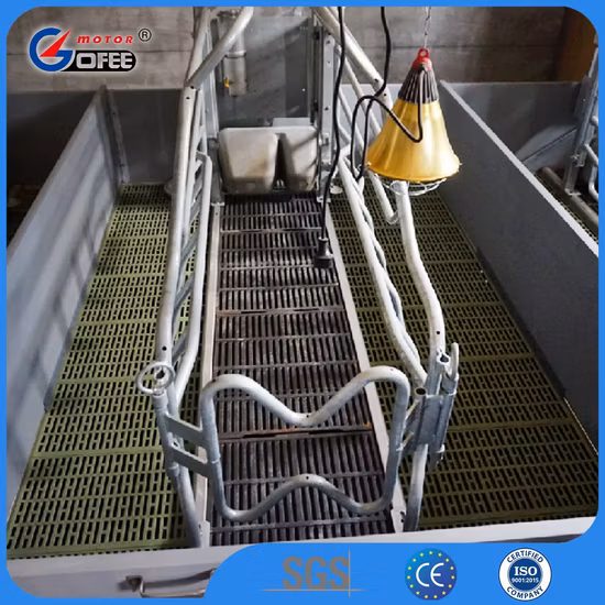 Rugged Galvanized Solid Rod Pipe Farrowing Crate