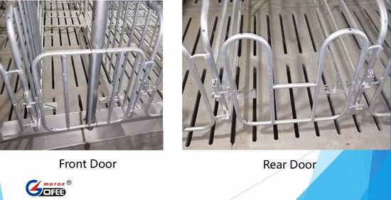 Rugged Galvanized Solid Rod Pipe Farrowing Crate
