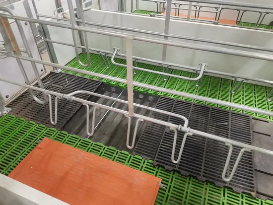 Suelos de plástico duraderos listones de jaulas de parto para cerdos